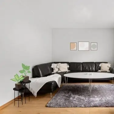 Interior work7 Decoration Company Dubai